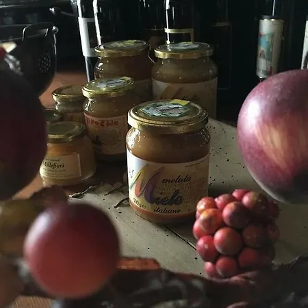 Agriturismo Venturato Séjour à la ferme Bovolenta