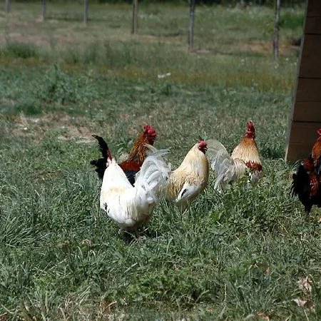 Séjour à la ferme Agriturismo Venturato Bovolenta