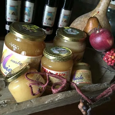 Agriturismo Venturato Bovolenta